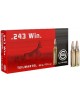 Geco 243 Win
