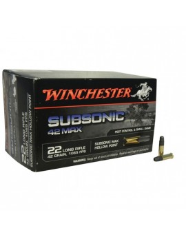 Winchester 22 Lr